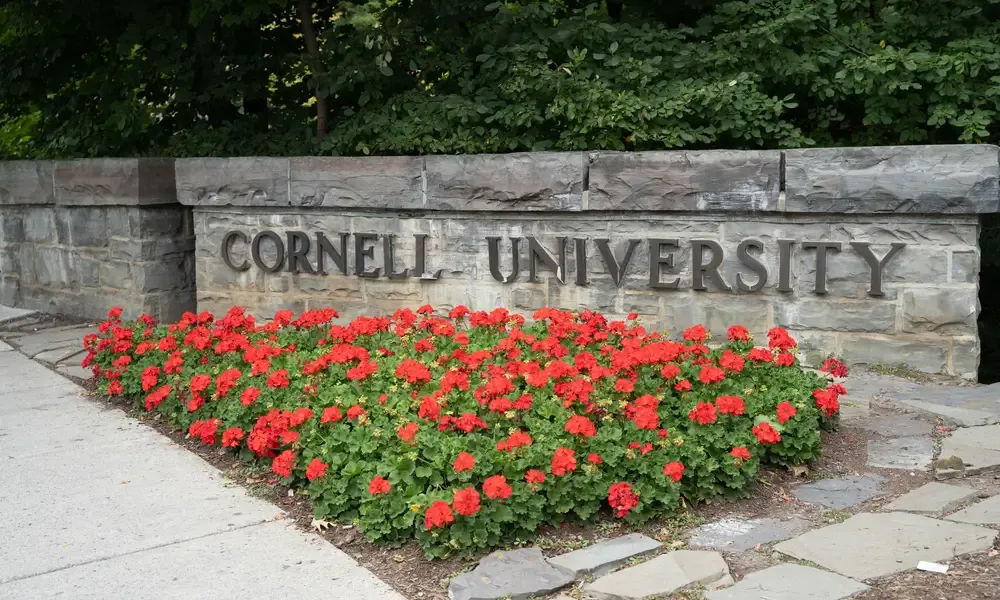 How to Write Cornell University Supplemental Essay 2024